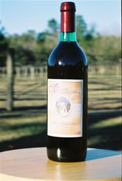 Red Wine Bottles